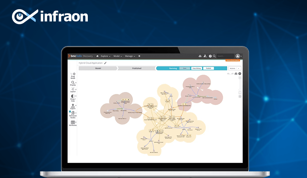 BMC Helix Discovery, Software asset Management